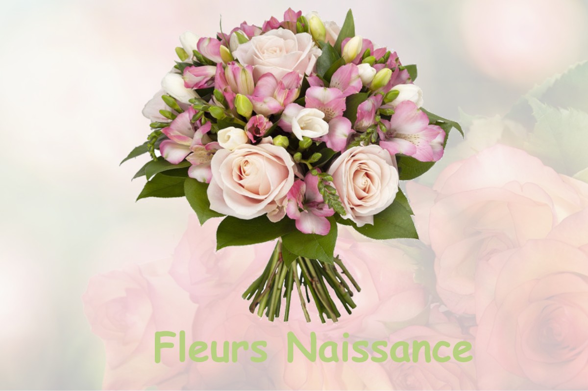 fleurs naissance BORDERES-ET-LAMENSANS