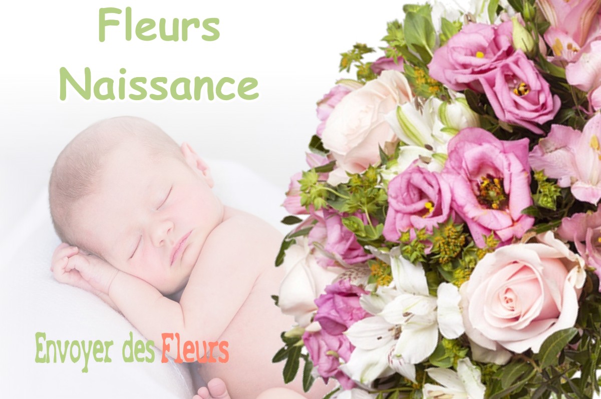 lIVRAISON FLEURS NAISSANCE à BORDERES-ET-LAMENSANS